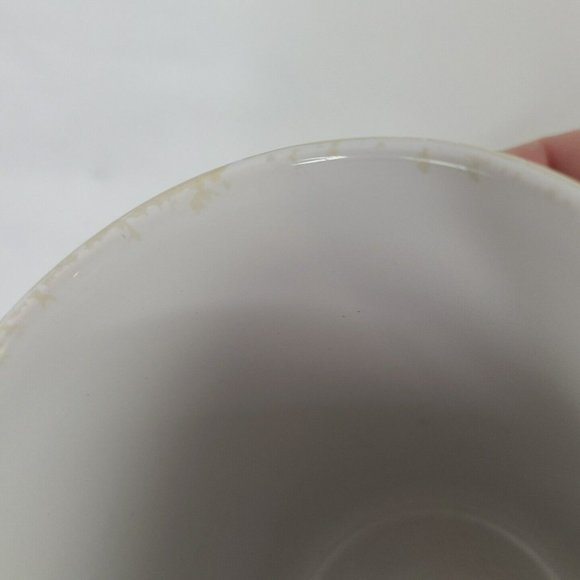 Vintage 1995 Miami Dolphins Xpres Coffee Mug Rustic NFL Football Photo Joe Sohm - Picture 13 of 14